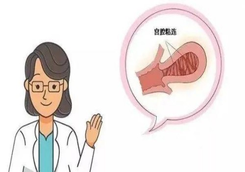 做試管嬰兒前如何調(diào)理內(nèi)膜，學(xué)會(huì)這些方法提高著床成功率